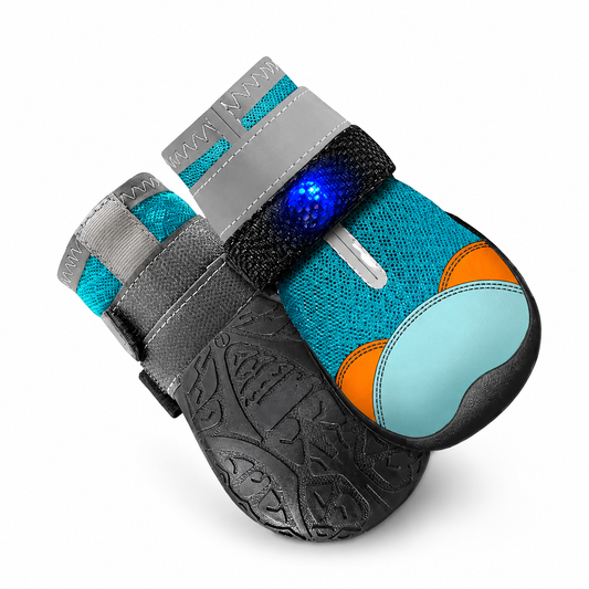 PawGlow™ — świecące buciki LED dla psa i kota